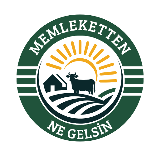 Doğal Yöresel Ürünler & Köy Lezzetleri – Memleketten Ne Gelsin